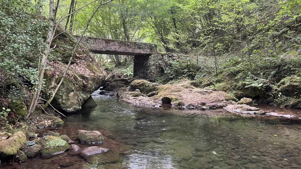 De puente a puente 
