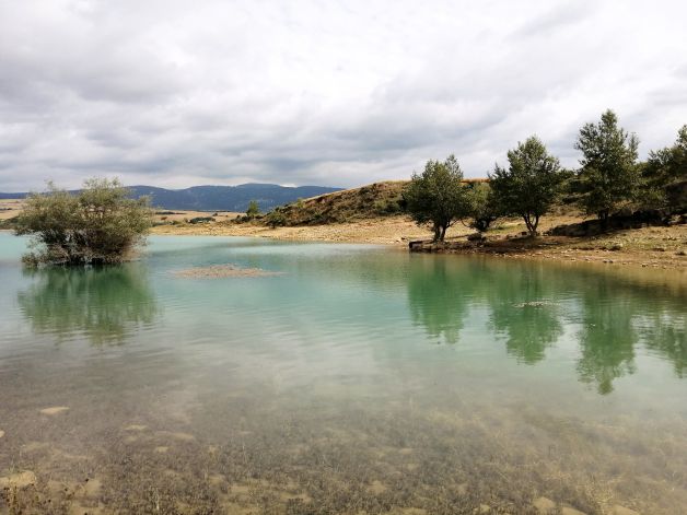 Reflejos