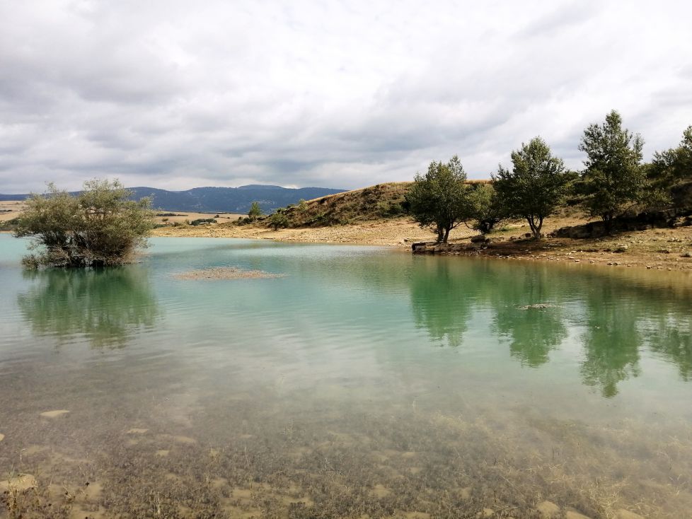 Reflejos
