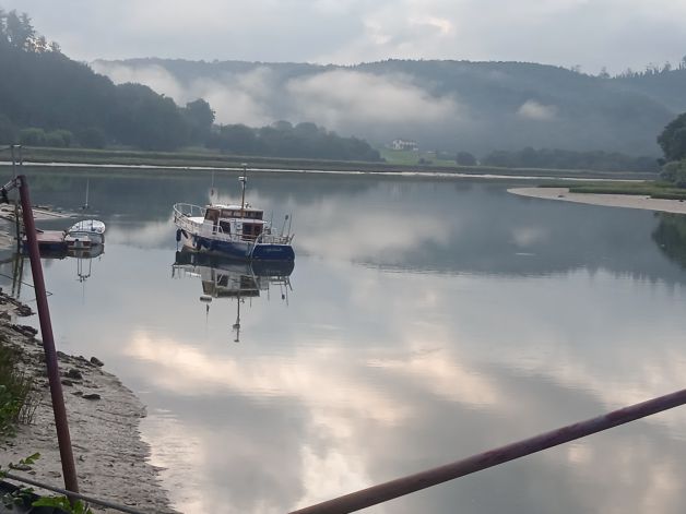 Reflejos