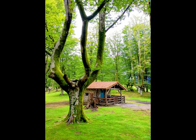 Refugio