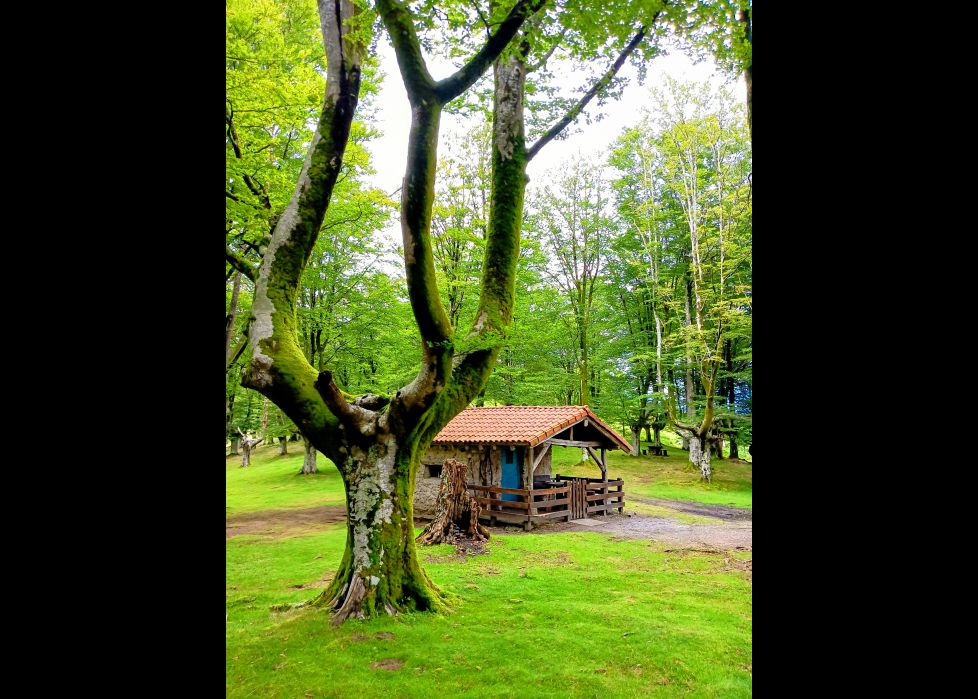 Refugio