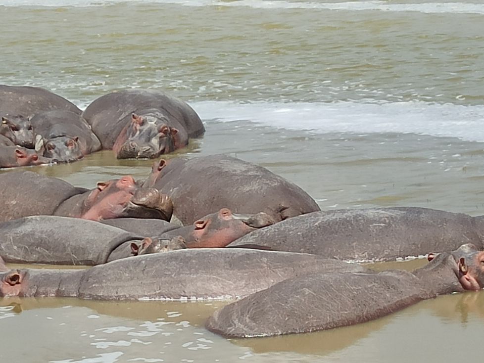 A la rica siesta
