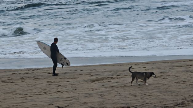 SURF