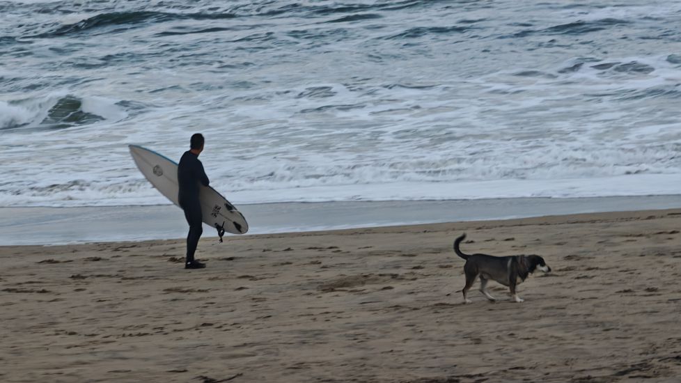 SURF