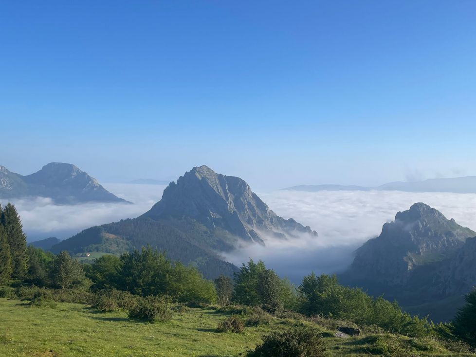 Alpes suizos