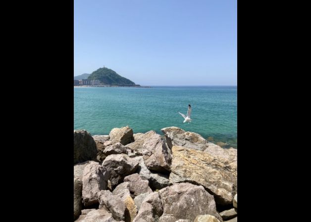 Alzando el vuelo