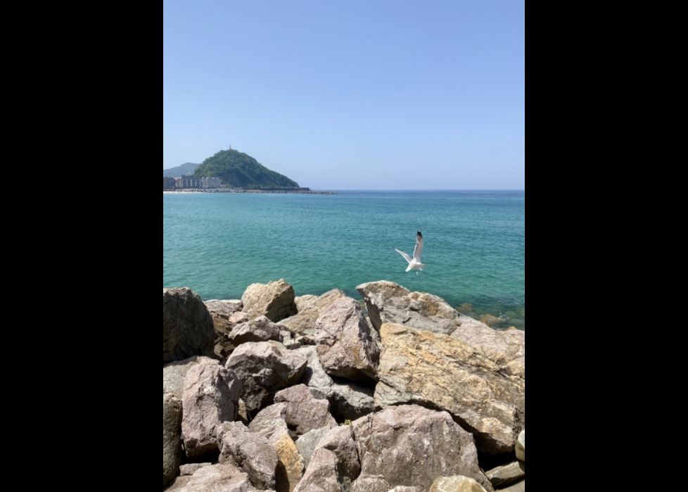 Alzando el vuelo