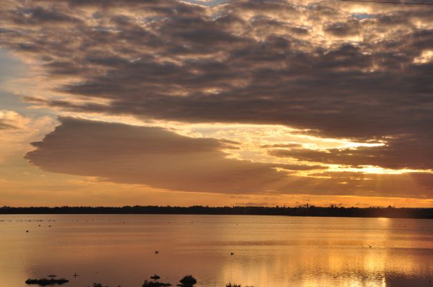 Atardecer dorado