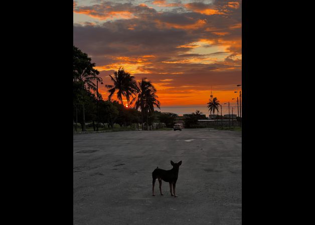 Atardecer en la Habana