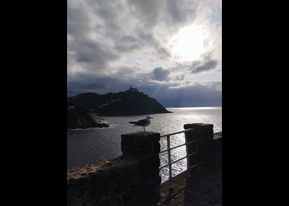 Atardecer en el paseo nuevo