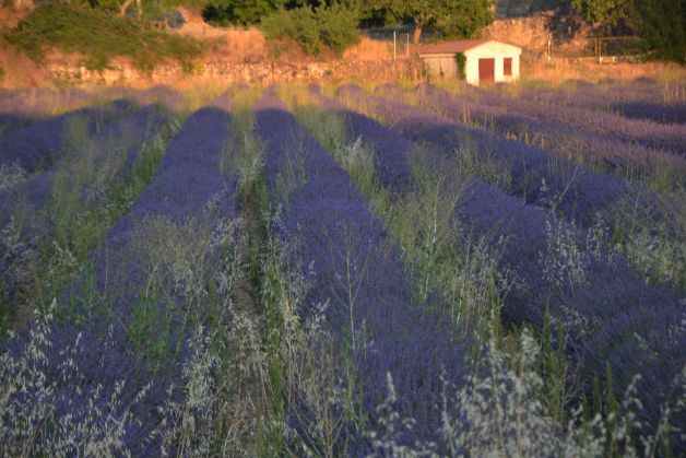 Atardecer en Santo Domingo de Silos, silencio y morada belleza