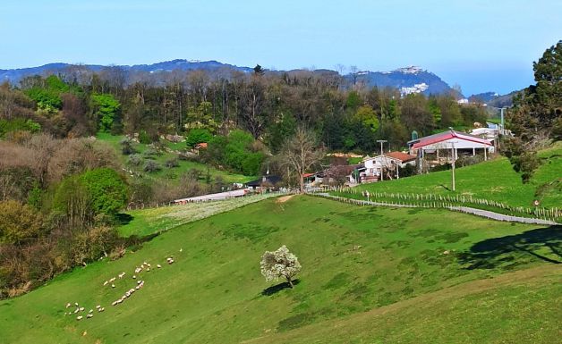 Bajando de San Marcos!! 