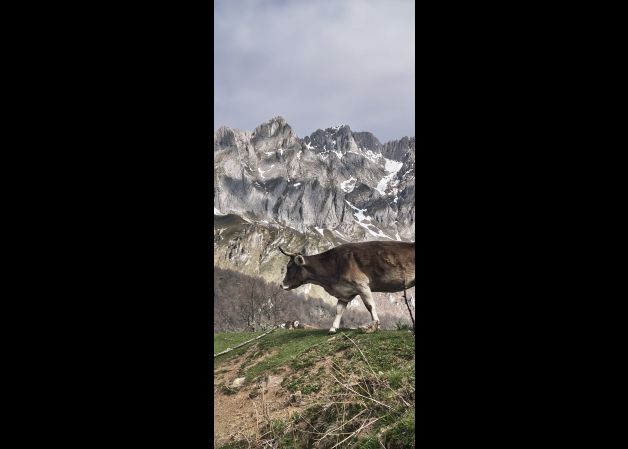 Behia paisaje ederrean