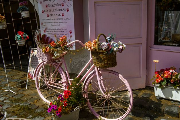 Bicicleta