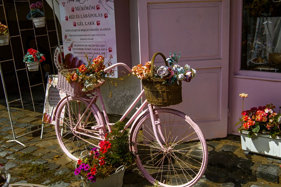 Bicicleta