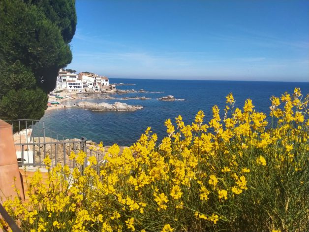 Calella
