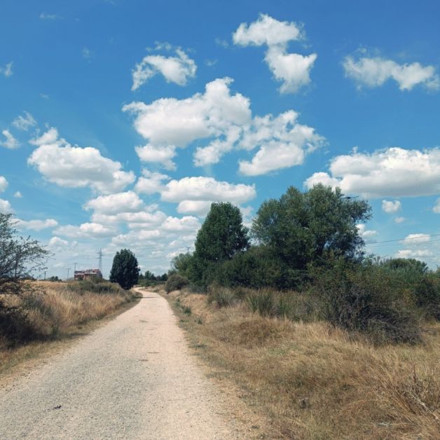 Caminando