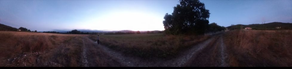 Camino