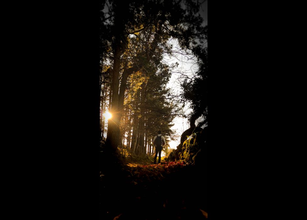 Caminos del norte