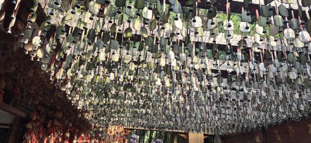 Campanillas colgantes.
