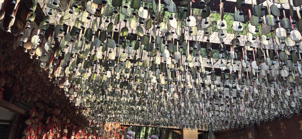 Campanillas colgantes.