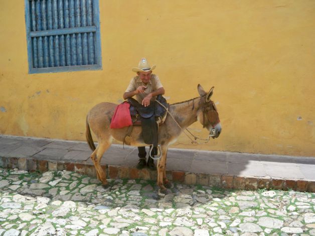 Campesino con su burrito