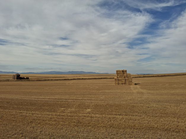 ¿Casa de campo?