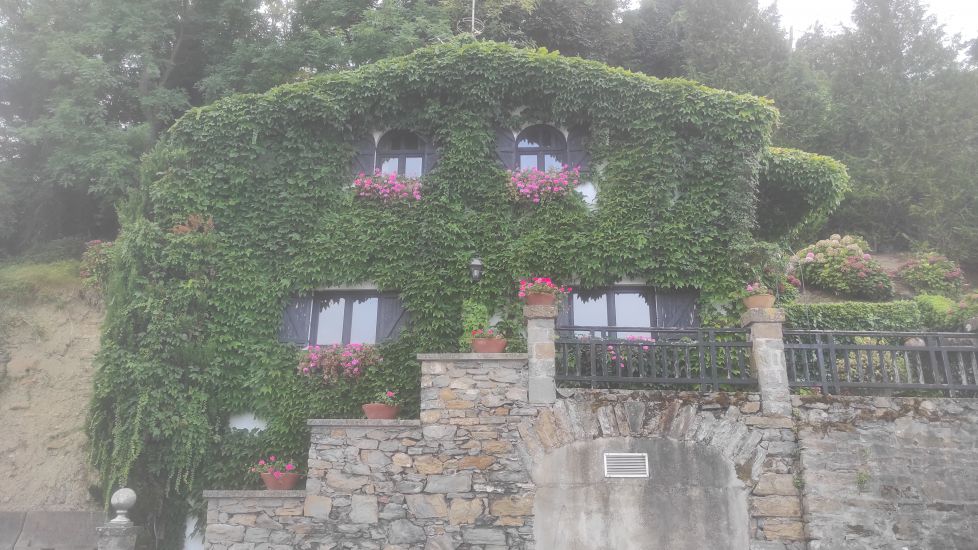 Casa jardin