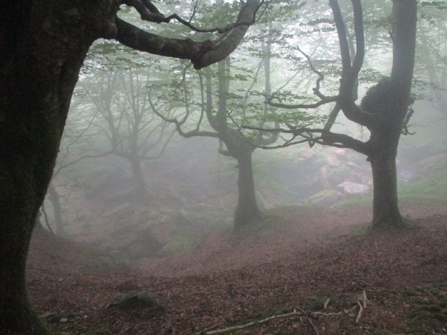 Collado de Belabieta con niebla.