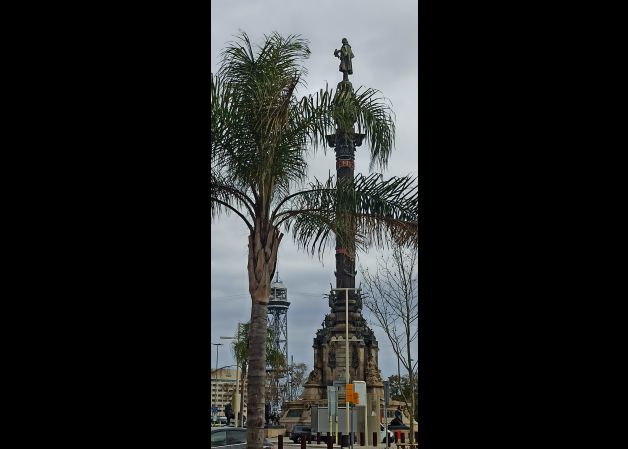 Colón entre palmeras