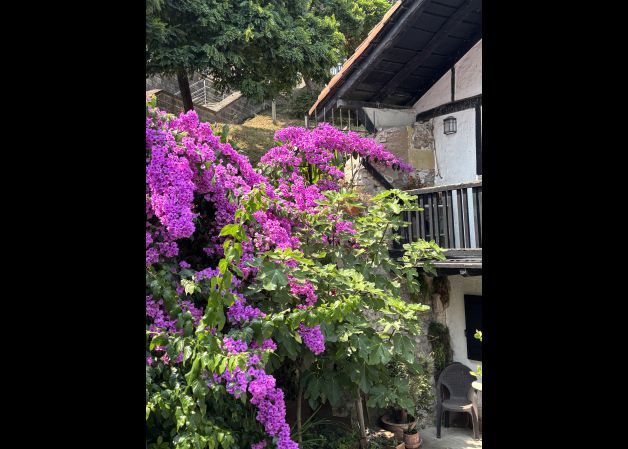 Colores de verano