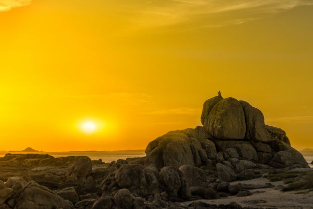 Contemplando el atardecer