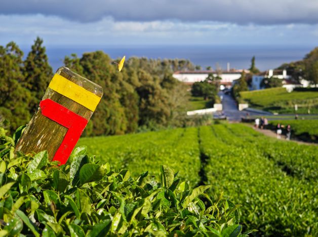 Continuamos en las Azores