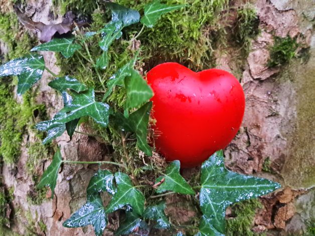Corazón