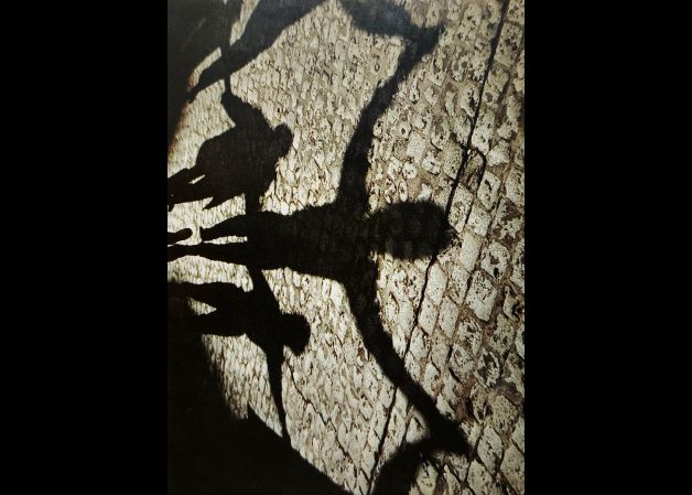 Danzas en la sombra