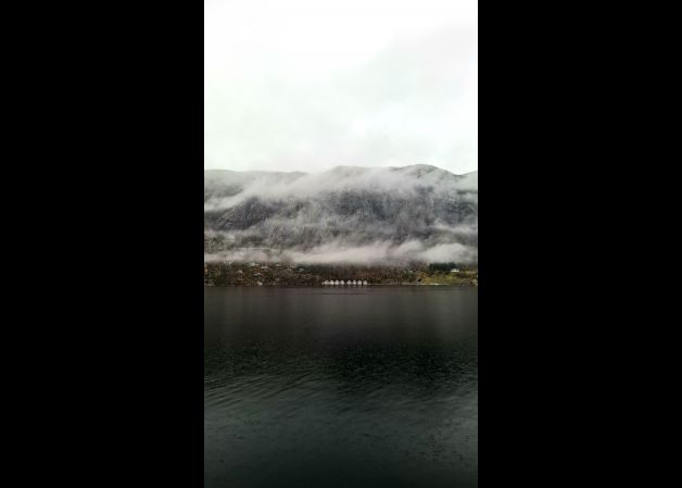 Día de niebla