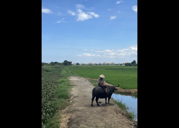 Donde la tierra camina