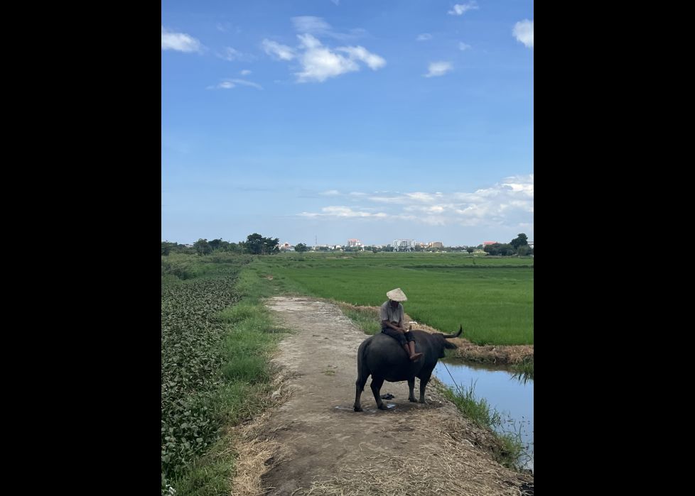 Donde la tierra camina