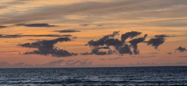 Dragones en el atardecer