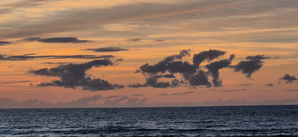 Dragones en el atardecer
