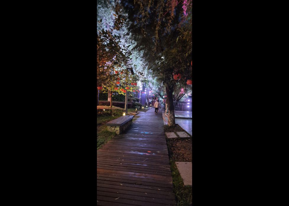 Un encantador paseo