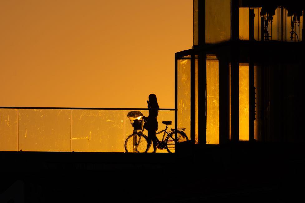 Entre luces y sombras