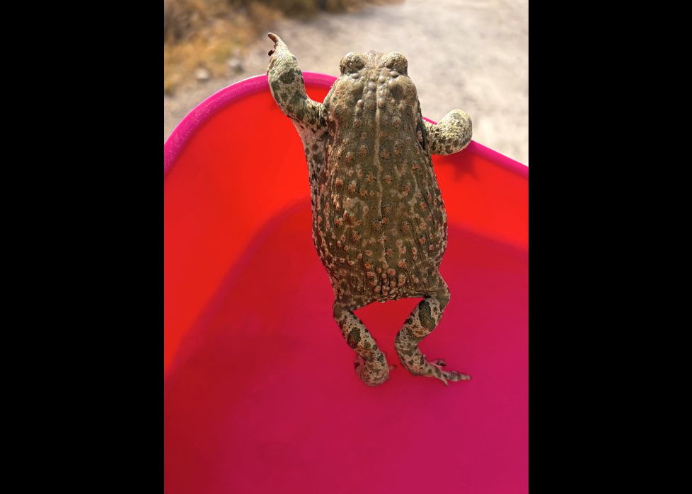 ¡epa!