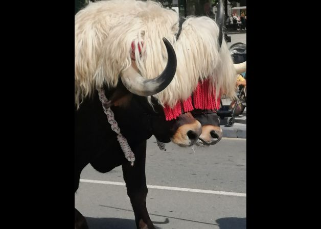 Euskal Jira