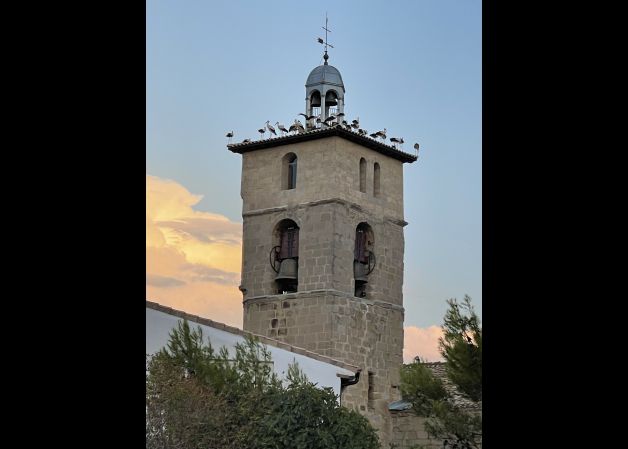Fiesta en el campanario