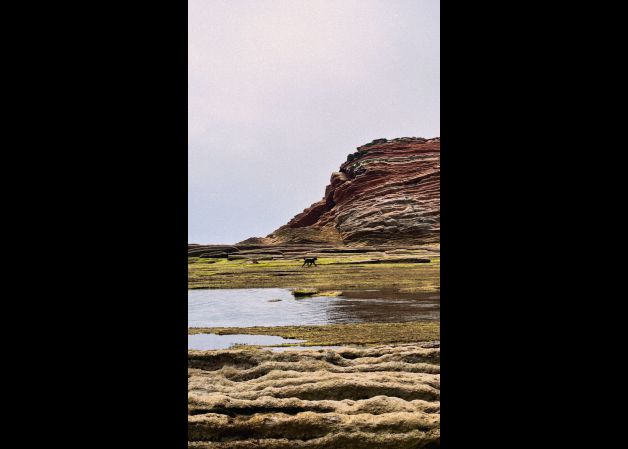 Flysch