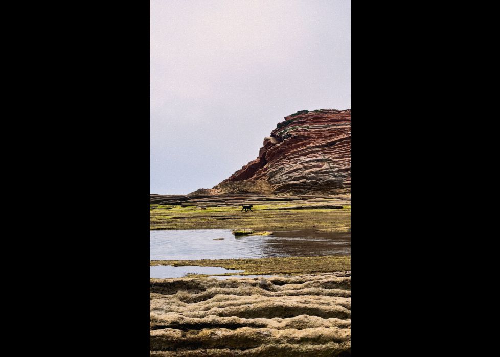 Flysch