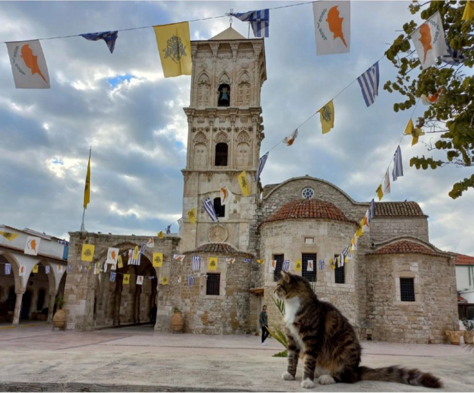Gato de Larnaca