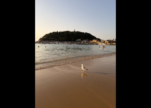 LA GAVIOTA ECLIPSADA
